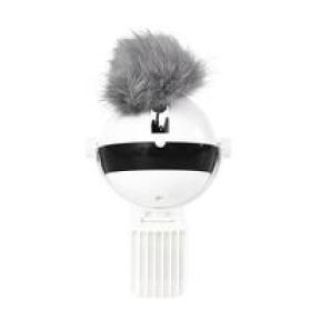 Pet Cat Toy Electronic Motion Cat Toy Interactive (Option: White2pcs)